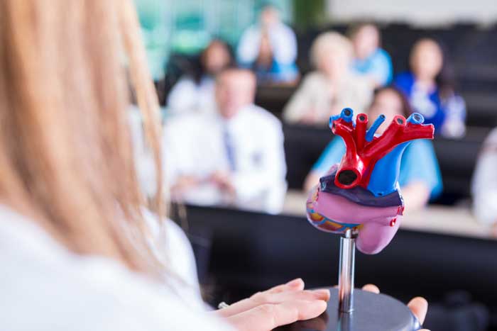 Heart Demo